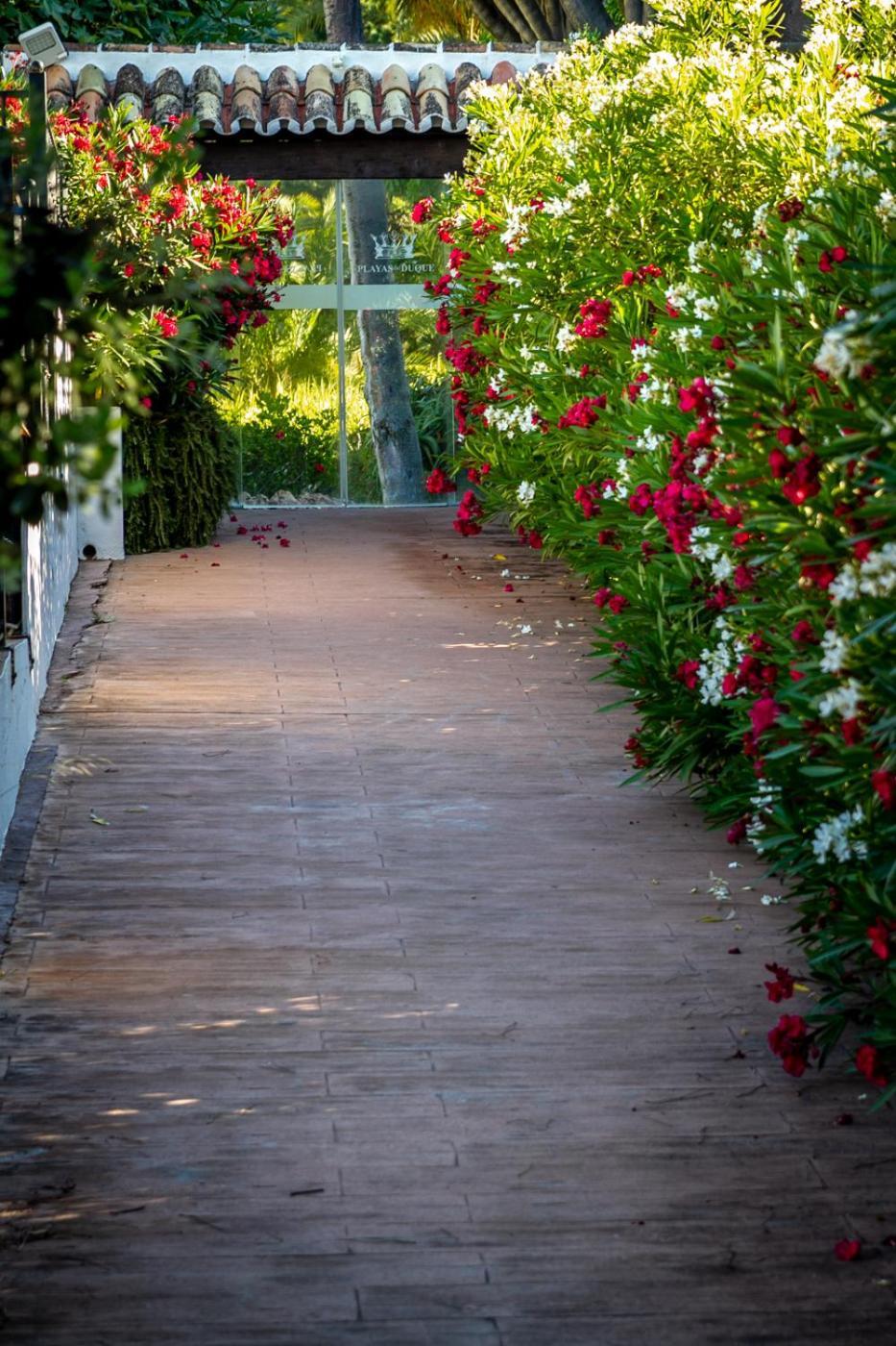 Marbella Banus Suites - Lily Playas Del Duque Banus Beach Apartment Εξωτερικό φωτογραφία